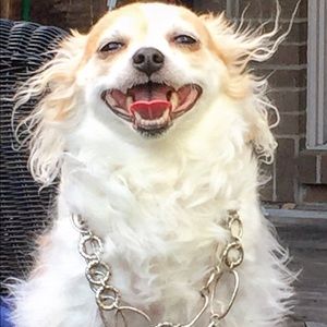 Meet your Posher, Pamela